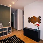 Rent 6 bedroom apartment in Turin