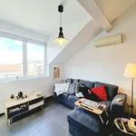 Rent 1 bedroom apartment in Leuven