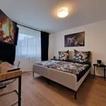 Miete 1 Schlafzimmer wohnung von 45 m² in Duisburg