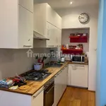 Rent 3 bedroom apartment of 70 m² in Turin