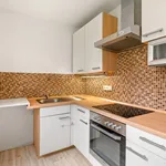 Rent 2 bedroom apartment of 53 m² in Ústí nad Labem