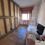 Affitto 3 camera appartamento di 110 m² in padova