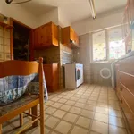 Rent 3 bedroom apartment of 77 m² in Roma