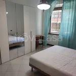 Rent 3 bedroom apartment of 82 m² in Milano