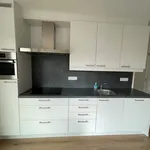 Rent 1 bedroom apartment in HOOGSTRATEN