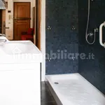 Rent 2 bedroom apartment of 50 m² in Pisa