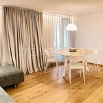 Rent 2 bedroom apartment of 70 m² in Treviso