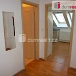 Rent 1 bedroom apartment in České Budějovice