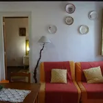 Rent 1 bedroom apartment of 35 m² in Salir de Matos