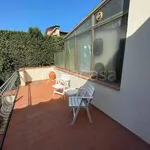 Affitto 5 camera casa di 110 m² in Sesto Fiorentino