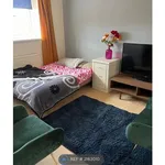 Rent 4 bedroom house in Wales