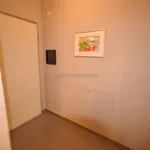 Rent 1 bedroom apartment of 45 m² in Alba