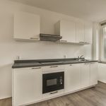 Rent 1 bedroom apartment of 46 m² in Alkmaar
