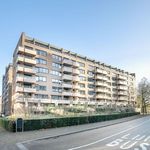Rent 2 bedroom apartment of 100 m² in Eindhoven