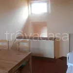 Rent 4 bedroom apartment of 70 m² in Jesi