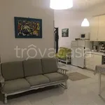 Rent 3 bedroom apartment of 80 m² in Torino