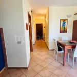 Rent 1 bedroom apartment of 60 m² in Fiumicino