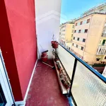 Rent 3 bedroom apartment of 90 m² in Campobasso