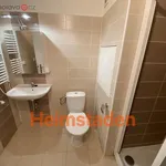 Rent 2 bedroom apartment of 41 m² in Havířov