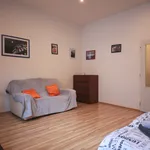 Pronajměte si 1 ložnic/e byt o rozloze 35 m² v Prague