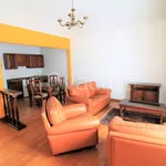 Rent 2 bedroom apartment of 54 m² in Torino