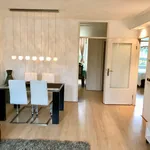 Rent 2 bedroom apartment of 57 m² in Amsterdam