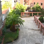 Rent 1 bedroom apartment in Madrid