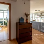 Rent 2 bedroom apartment of 48 m² in Poznan