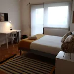 Rent 5 bedroom apartment in porto