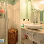 Rent 2 bedroom apartment of 50 m² in Turin