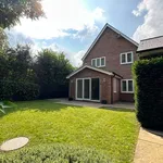 Rent 4 bedroom house in Colchester