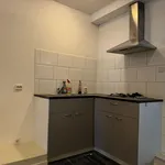 Rent 2 bedroom apartment of 40 m² in Leeuwarden