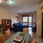 Rent 3 bedroom apartment of 80 m² in Roma