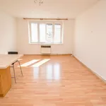 Rent 2 bedroom apartment of 45 m² in Prague