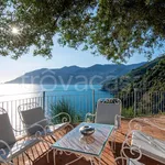 Rent 11 bedroom house of 300 m² in Maiori