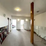 Rent 3 bedroom apartment of 130 m² in Prague