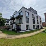 Rent 2 bedroom apartment in DENDERMONDE