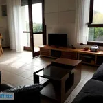 Rent 2 bedroom apartment of 75 m² in Venice