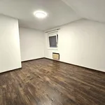 Rent 3 bedroom apartment of 73 m² in Schlößl