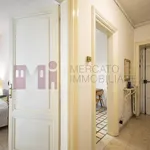 Rent 1 bedroom apartment of 50 m² in Roma