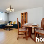 Rent 3 bedroom apartment of 63 m² in Zabrze