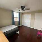 Rent 1 bedroom apartment in Kingston