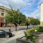 Rent 2 bedroom apartment of 49 m² in Goleniów