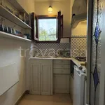 Rent 1 bedroom apartment of 50 m² in Firenze