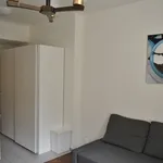 Rent 1 bedroom apartment of 35 m² in Brno