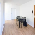 Rent a room in Dusseldorf