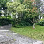 Rent 3 bedroom house in Whangarei