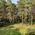 Detached house to rent in Finchampstead, Wokingham, Berkshire RG40