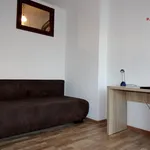 Rent 1 bedroom apartment of 19 m² in Rybnik