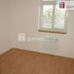 Rent 2 bedroom apartment of 48 m² in Břeclav